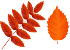 Two Dark Orange Fall Leaves PNG Clip Art Image