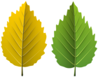 Two Leaves PNG Clipart