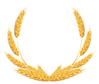 Wheat Decoration PNG Clipart Image