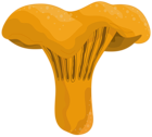 Wild Mushroom PNG Clipart