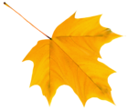 Yellow Autumn Leaf PNG Clipart Image