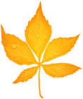 Yellow Autumn Leaf with Dew Drops Transparent PNG Clip Art Image