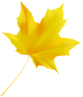 Yellow Fall Leaf PNG Clipart