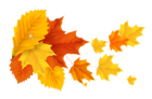 Yellow Orange Fall Leafs PNG Clipart Picture