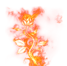 Beautiful Rose of Fire PNG Clipart Picture