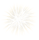 Firework White Transparent Clip Art