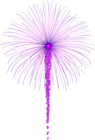 Purple Fireworks for Dark Images PNG Clip Art