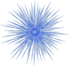 Spectacular Firework Blue Transparent Image
