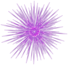 Spectacular Firework Purple Transparent Image