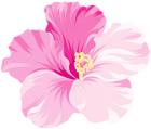 Art Flower PNG Clipart