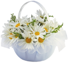 Basket with Daisies Transparent Clipart