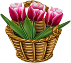 Basket with Tulips Transparent PNG Clip Art Image