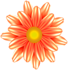 Beautiful Flower Orange PNG Clipart