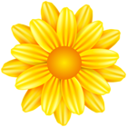 Beautiful Flower Yellow PNG Clipart
