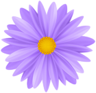Beautiful Purple Flower PNG Transparent Clipart