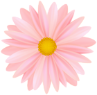 Beautiful Soft Pink Flower PNG Transparent Clipart