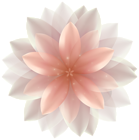 Beautiful Transparent Flower PNG Clipart Image
