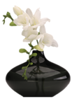 Black Vase with White Orchids PNG Picture
