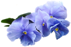 Blue Violet Flower PNG Clipart