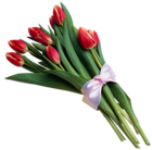 Bouquet of Red Tulips Transparent PNG Picture