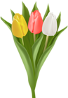 Bouquet with Tulips Clip Art Image