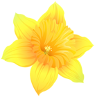 Daffodil Transparent PNG Clip Art Image