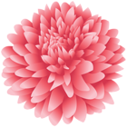 Dahlia Flower PNG Clipart