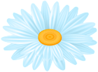Daisy Blue Flower PNG Transparent Clipart