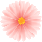 Daisy Flower PNG Clipart