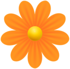 Daisy Orange Flower PNG Transparent Clipart