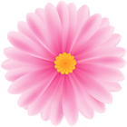 Daisy Pink Flower PNG Clipart