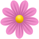 Daisy Pink Flower PNG Transparent Clipart | Gallery Yopriceville - High ...