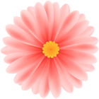 Daisy Red Flower PNG Clipart