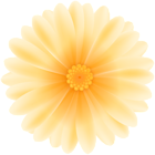 Daisy Yellow Flower PNG Clipart