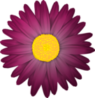 Dark Flower Transparent PNG Clip Art Image
