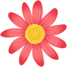 Decorative Flower PNG Clip Art
