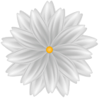 Decorative Flower White PNG Clipart