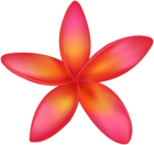 Exotic Flower PNG Clip Art Transparent Image