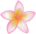 Exotic Flower Pink PNG Clip Art Image