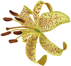 Exotic Flower Transparent Clip Art PNG Image