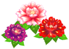 Exotic Flowers PNG Clipart Image