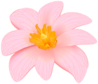 Exotic Pink Flower Clip Art PNG Image