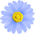Flower Blue Decorative Transparent Image