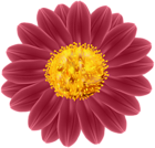 Flower Clip Art PNG Image