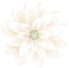 Flower Deco PNG Clip Art Image