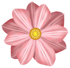Flower Decoration Clipart Image