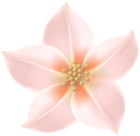 Flower Decorative Transparent Image