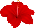 Flower Hibiscus Red PNG Transparent Clipart