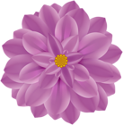 Flower Large PNG Clip Art Image