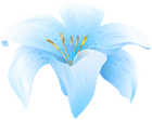 Flower Lilium Blue PNG Clipart